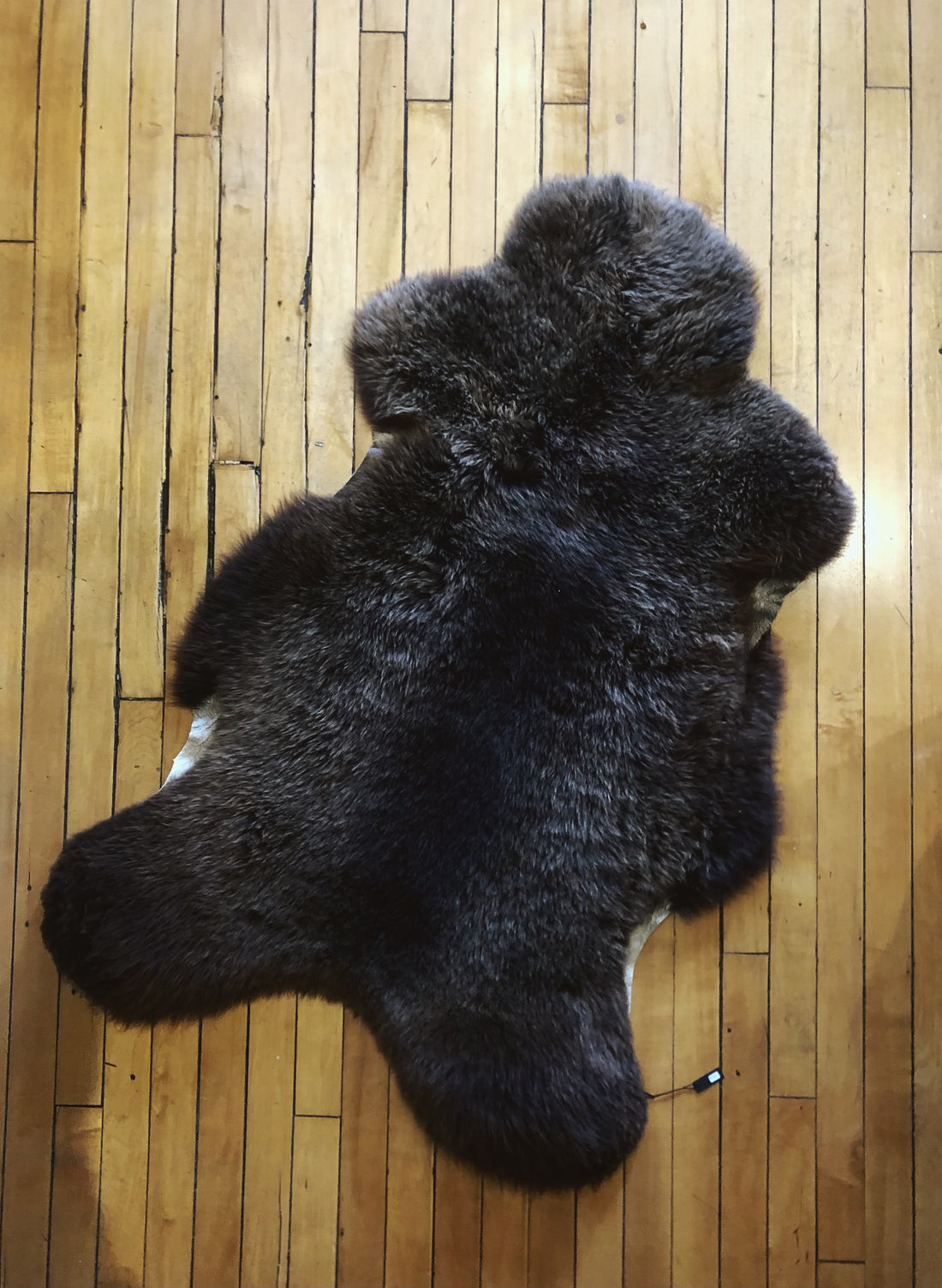 Foraged/Vintage Sheepskin Rugs