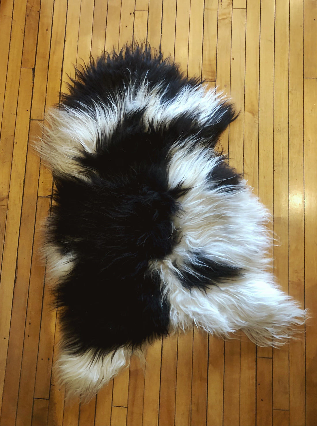 Foraged/Vintage Sheepskin Rugs