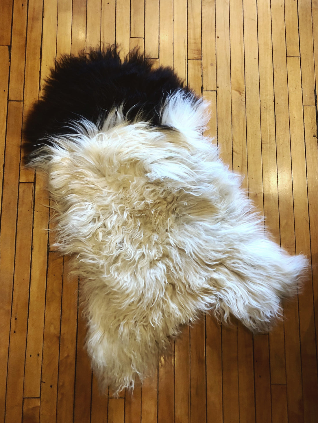 Foraged/Vintage Sheepskin Rugs