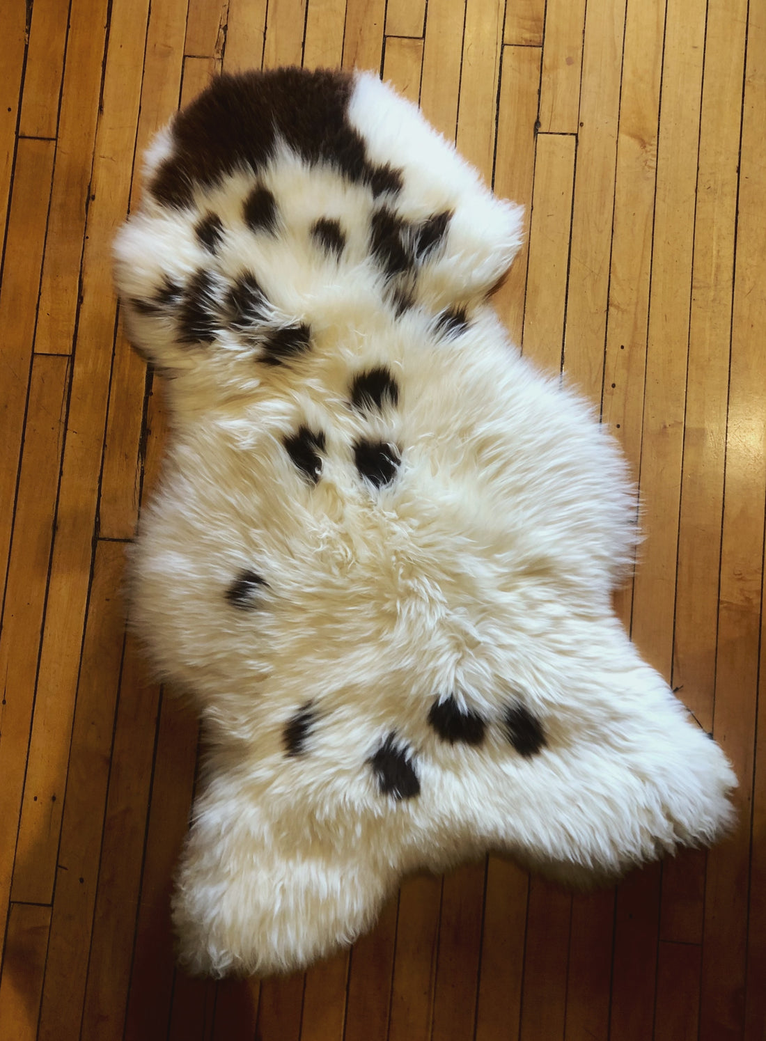 Foraged/Vintage Sheepskin Rugs