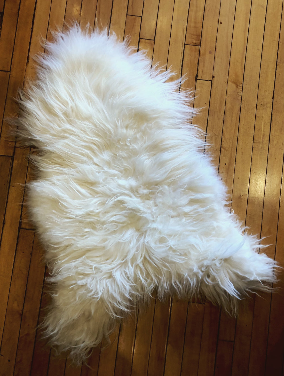 Foraged/Vintage Sheepskin Rugs