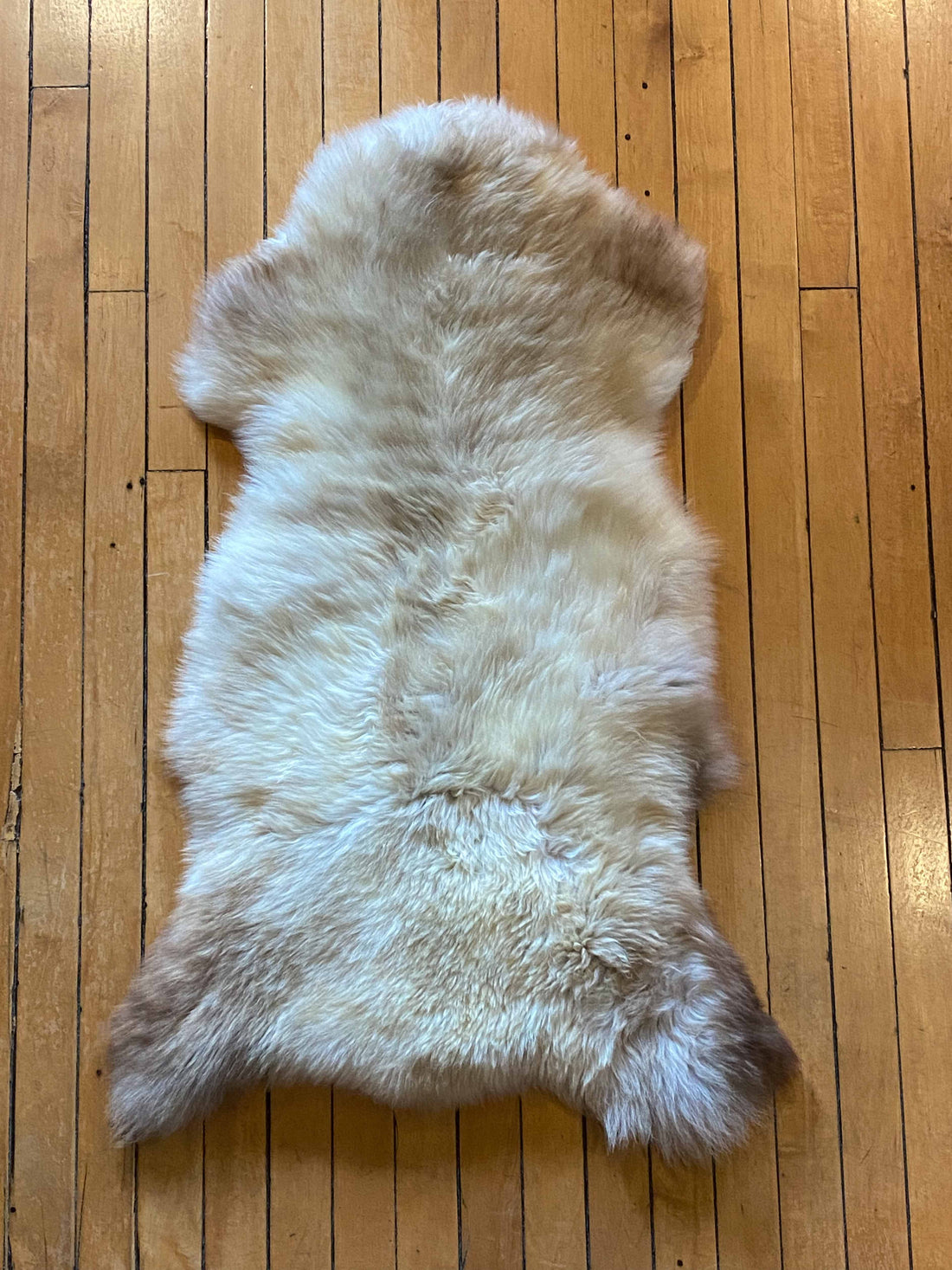 Foraged/Vintage Sheepskin Rugs