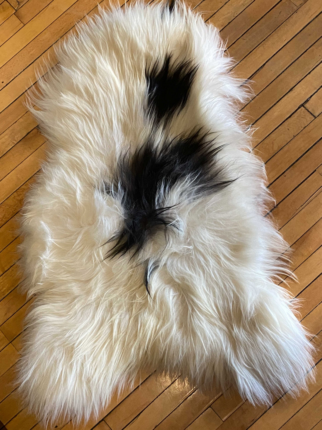 Foraged/Vintage Sheepskin Rugs