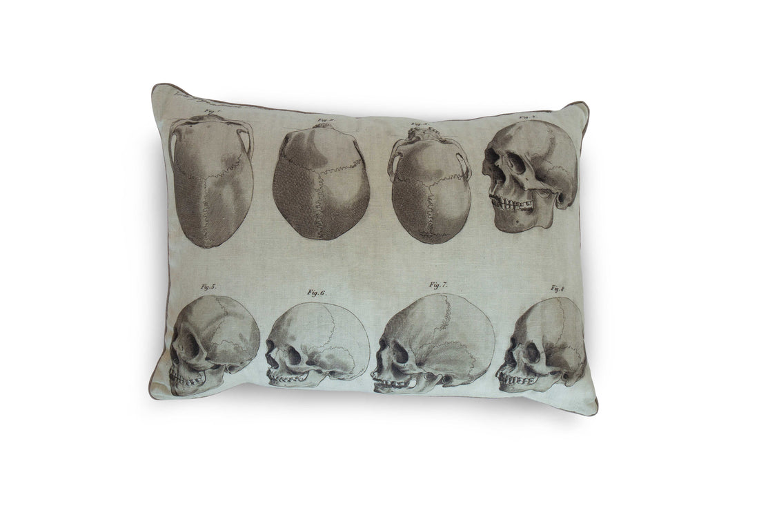 A linen pillow with a painted artwork printed on it, depicting eight vintage anatomy drawings of human skulls against a cream background. The pillow is pictured in front of a white background. The 100% Natural European Linen Pillow Includes 10/90 Down / Feather Blend Insert. Sophisticated and refined. Modern yet classic. A true friend for years to come. Dimensions: 17"x24"